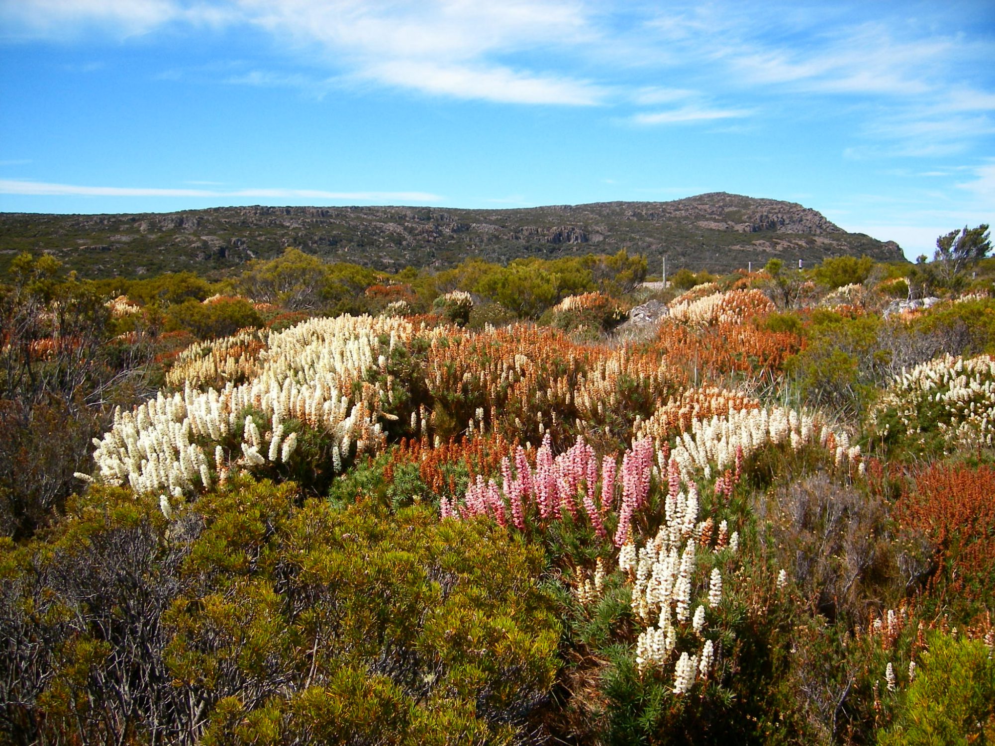 アップリケ　キルト　タペストリー　山と馬のいる風景 アップリケ キルト タペストリー 山と馬のいる風景